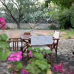 Anna's Garden Triandafillia
