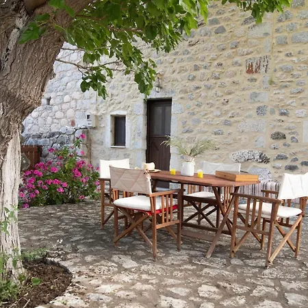 Anna's Garden * Triandafillia