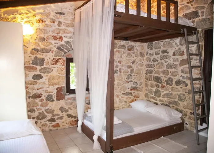 Anna's Garden Triandafillia