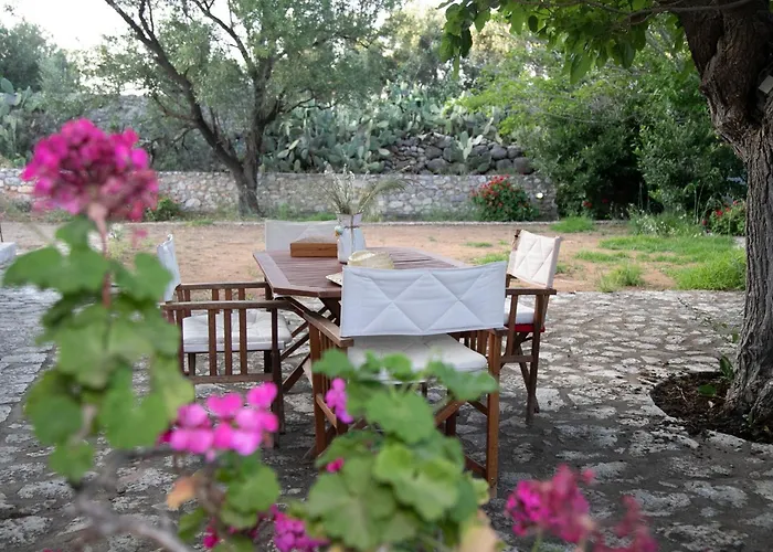 Anna's Garden Triandafillia